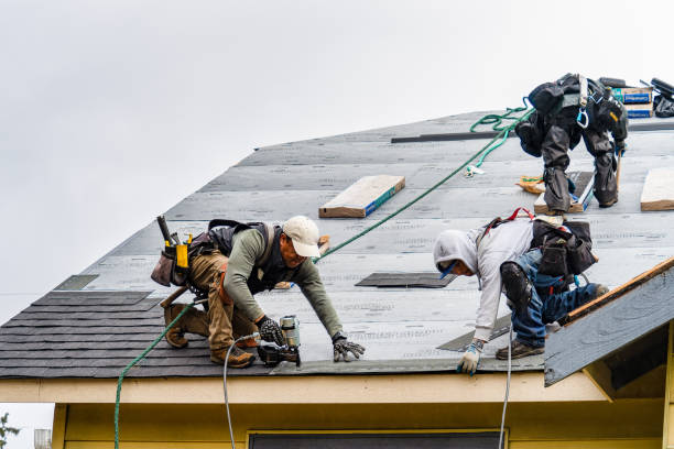 Professional Gutter Installation technician working in Hillsboro, IL